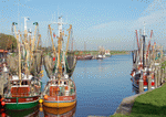 Kutter im Hafen vor Greetsiel